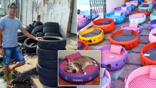 Dieser junge Brasilianer verwandelt alte Reifen in Körbchen für Hunde und Katzen: Er hilft der Umwelt auf kreative Weise